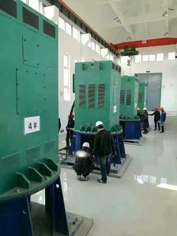 Y450-2B某污水处理厂使用我厂的立式高压电机安装现场