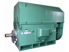 Y450-2BY系列6KV高压电机